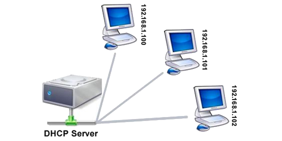 DHCP